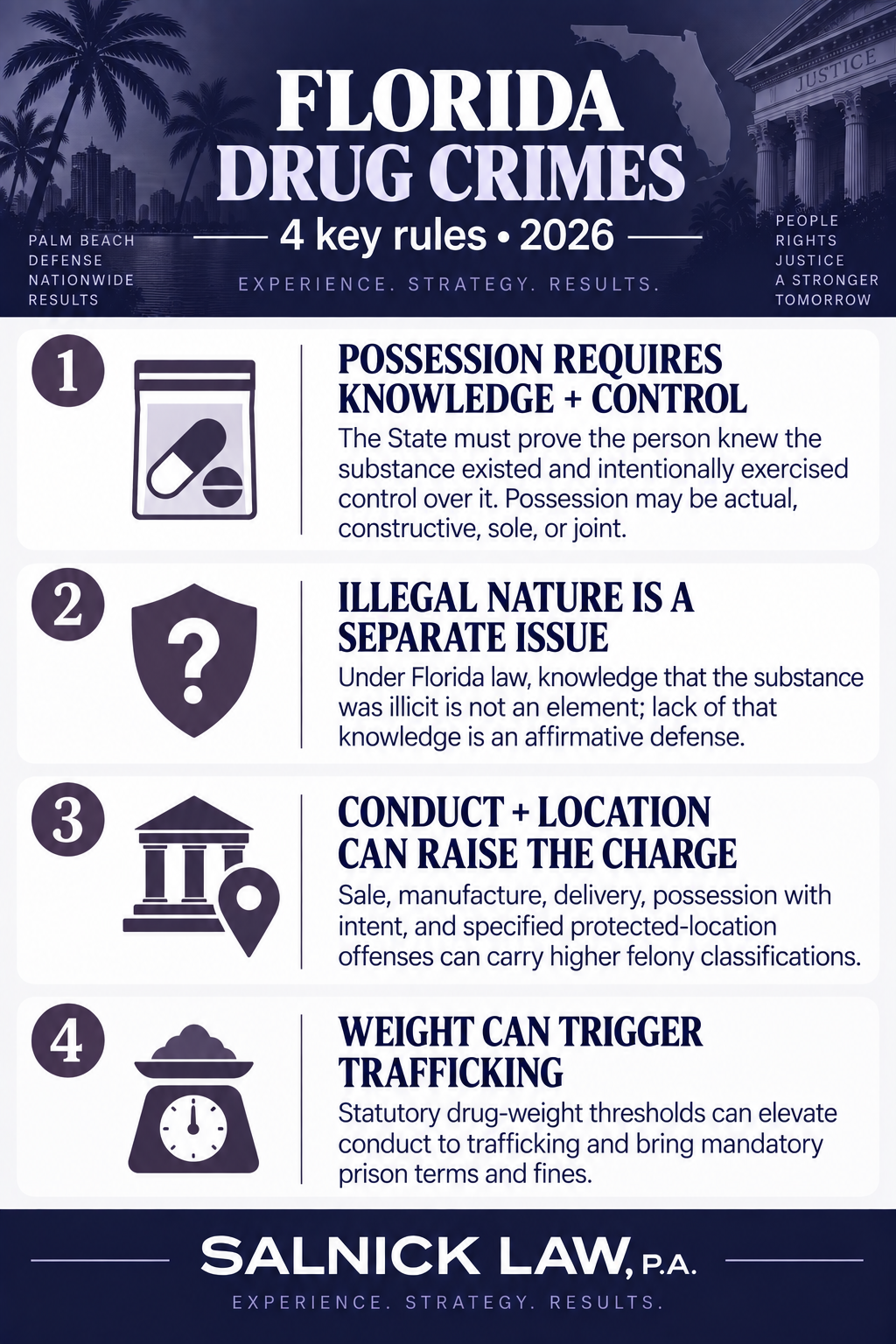 Florida Drug Crimes Infographic